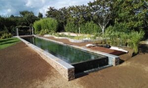 piscinas naturales mantenimiento