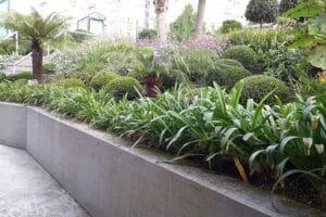 jardines-publicos-urbanos-en-pontevedra-galicia