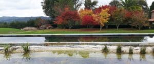 piscinas-naturales-santiago-de-compostela-galicia